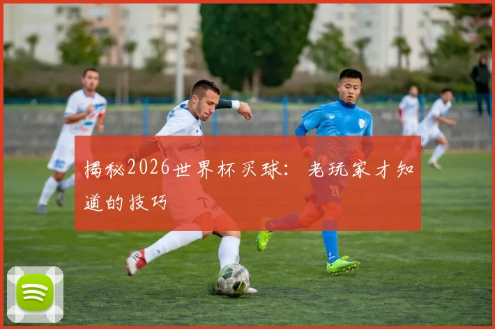 揭秘2026世界杯买球：老玩家才知道的技巧